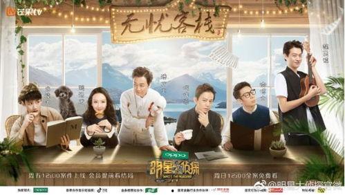 社会热点事件视频 娱乐圈头条 明星大侦探第五季,热点事件视频、头条新闻与明星大侦探第五季精彩回顾